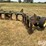john-deere-e0900-image-5