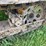 john-deere-420c-image-4