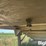 1981-wilson-grain-trailer-image-16