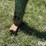 john-deere-2-image-13