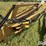 2007-vermeer-wrx12-image-14