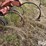 allis-chalmers-1200-image-17