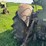 john-deere-620-image-6