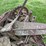 avery-3-bottom-self-lift-plow-image-4