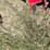2020-massey-ferguson-1316s-image-11