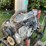 2000-ford-2000-image-16