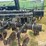 great-plains-solid-stand-15-image-16