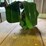john-deere-dubuque-1000rpm-pto-unit-image-1
