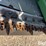 john-deere-635f-image-18