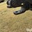 bush-hog-2615-image-10