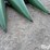 2008-john-deere-608c-stalkmaster-image-14