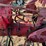 farmall-super-a-tractor-image-39