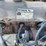 2000-ford-2000-image-20