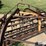 new-holland-55-image-18