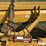 notch-12tll-image-11