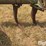 john-deere-e0900-image-11