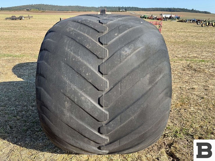 buggy-tires-on-rims-image-6
