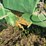 john-deere-330-image-6
