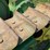 john-deere-bo-lindeman-image-36