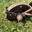 john-deere-14-image-29