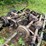 jeep-willys-image-85