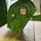 john-deere-dubuque-1000rpm-pto-unit-image-6