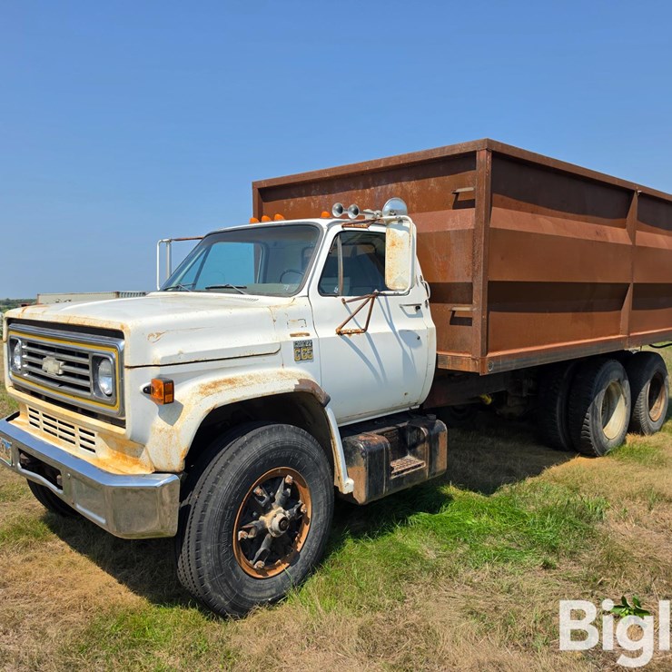 1976 CHEVROLET C65