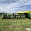 2013-john-deere-1770nt-ccs-image-8