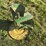 john-deere-pto-image-2