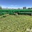 2015-john-deere-455-image-9
