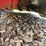 #13-•-exmark-e-series-radius-zero-turn-mower-404435682-inv#20989-image-19