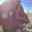 hesston-5800-image-4