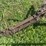 john-deere-14-image-37