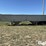 1981-wilson-grain-trailer-image-8