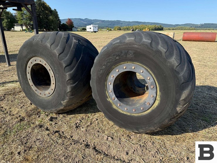 buggy-tires-on-rims-image-1