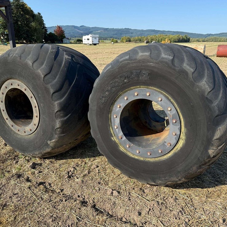 Buggy Tires on Rims