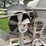 big-bull-tractor-image-12