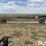 case-ih-3412-image-9