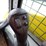 wacker-neuson-sw16-image-24