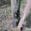john-deere-r15-image-10