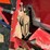 2012-case-ih-3412-image-10