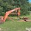 allis-chalmers-470-image-3