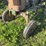 john-deere-320v-slant-steer-image-4