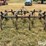 john-deere-1610-image-6