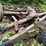 jeep-willys-image-84