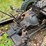 jeep-willys-image-73