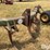 john-deere-e0900-image-10