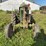 john-deere-420-image-3