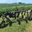 john-deere-14-image-5