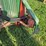 john-deere-320-image-17